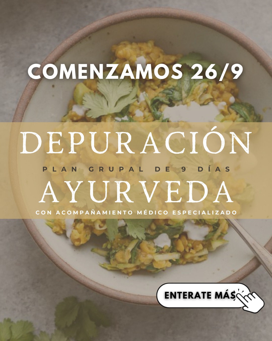 Depuración Ayurveda 2026